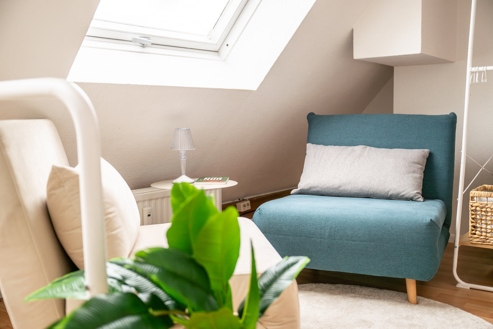 20250605 112359 21-Verbessert-RR.jpg